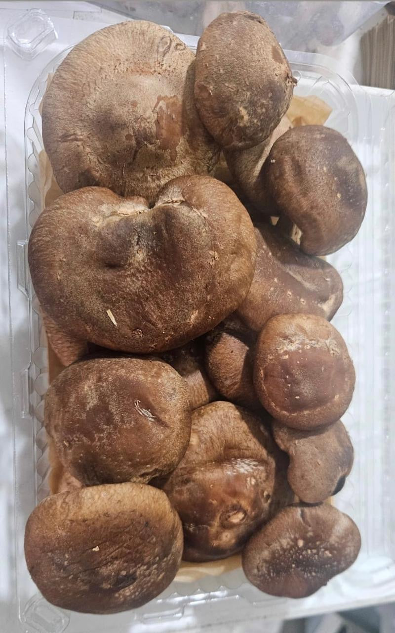 Shitake Mushroom 250 g