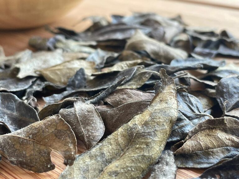 Curry Leaves (Organic Product)