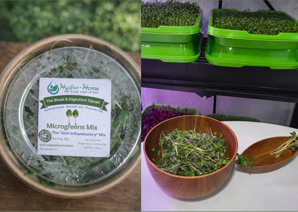 Bloat & Digestion Squad (The "Anti-Inflammatory" Mix)