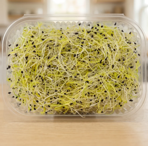 Leek Sprouts