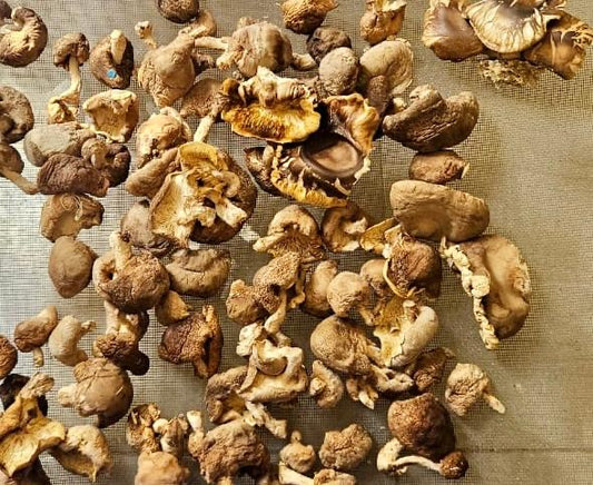 Dried Shitake Mushrooms 100g