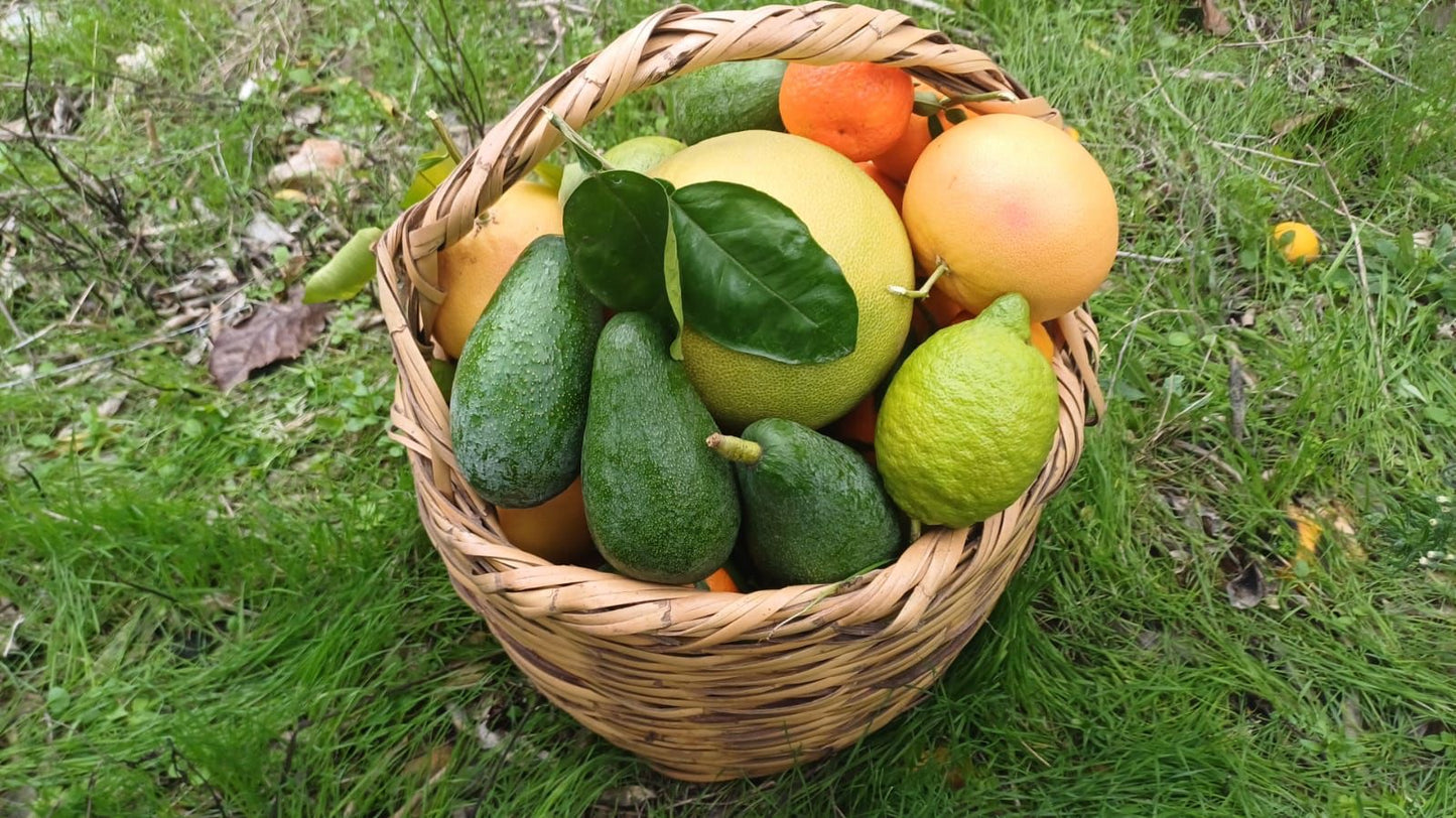 Seasonal Basket