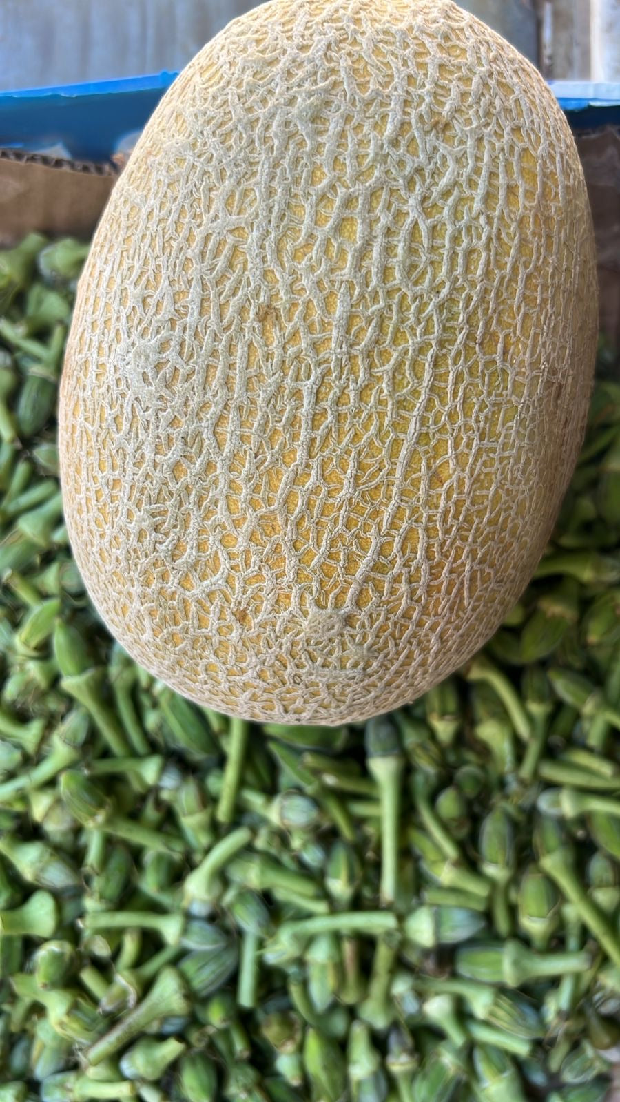 Melon per kilo