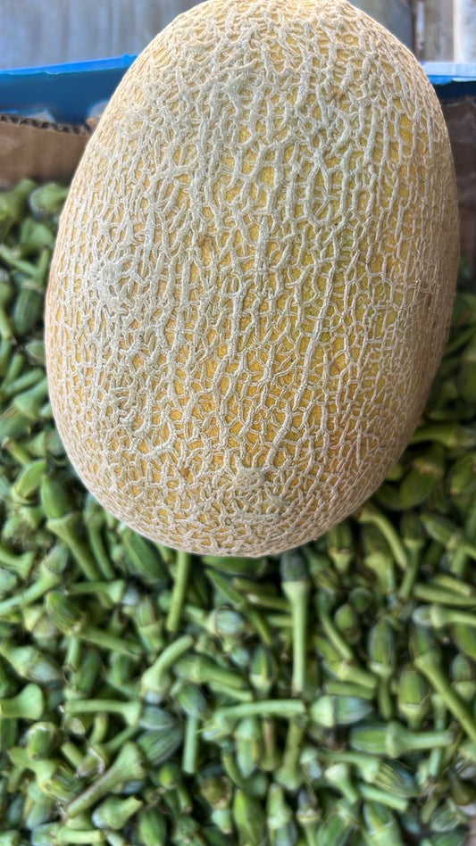 Melon per kilo