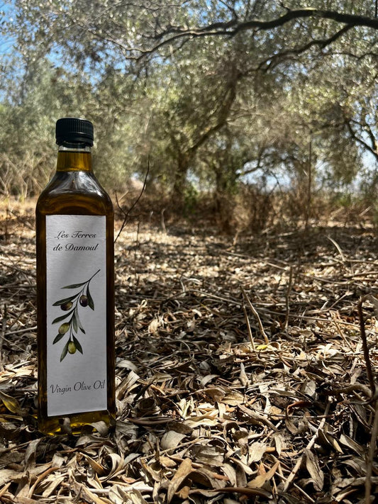 Virgin Olive Oil 500ml