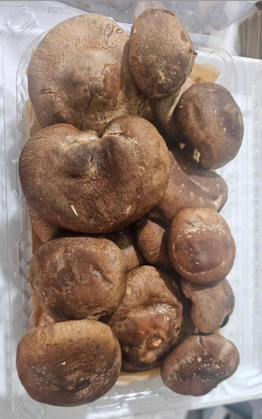 Shitake Mushroom 250 g