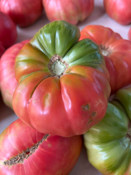 Mountain Tomato per 1kg