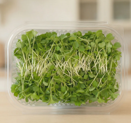 Arugula Microgreens