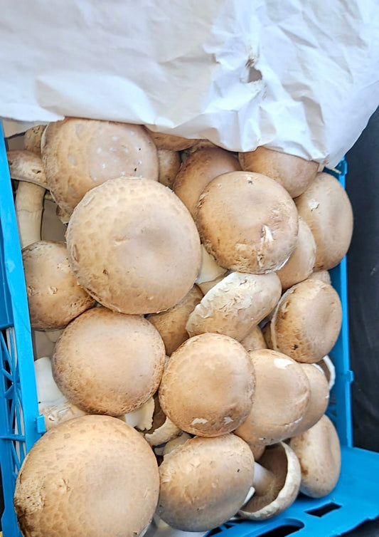Portobello Mushrooms 250g