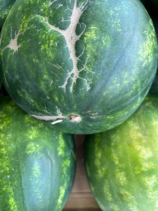 Watermelon per kilo