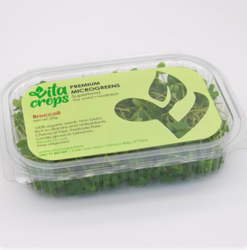 Broccoli Microgreens