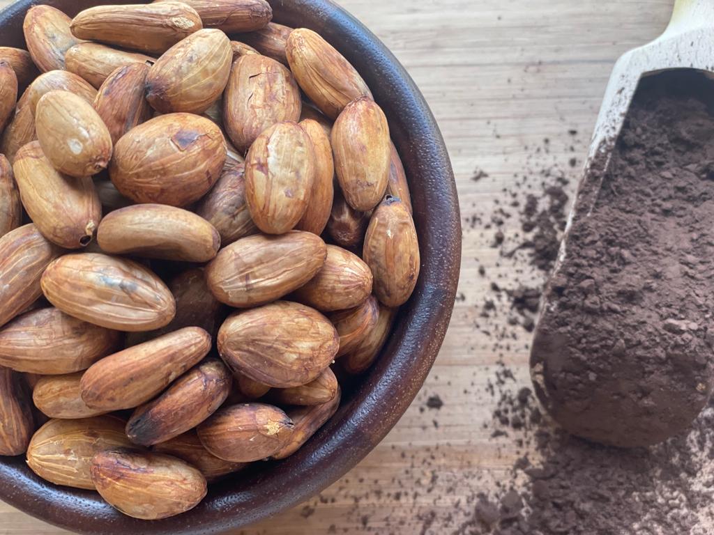 Cocoa Beans (Organic Product)