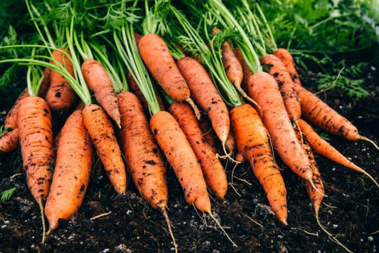 Carrot per kg