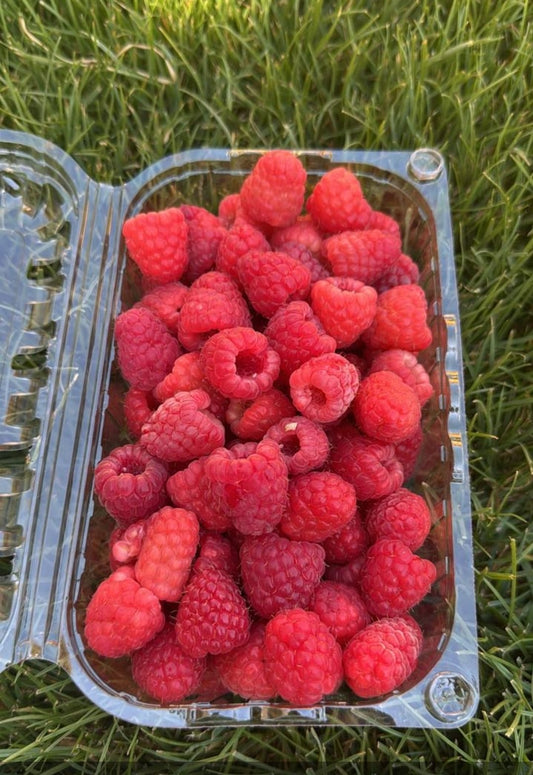 Organic Raspberry