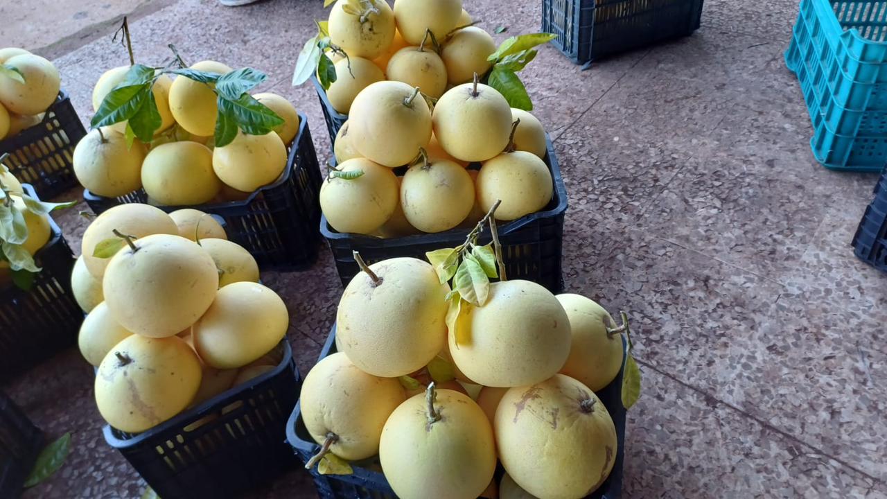 Pomelo per 1Kg