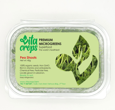 Peas Microgreens