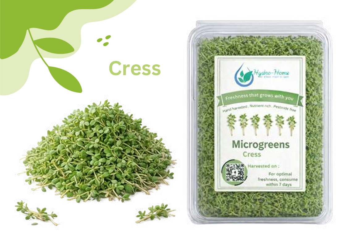 Cress