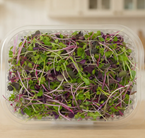 Mix Microgreens