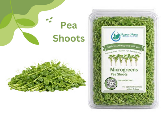 Pea Shoots