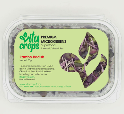 Rambo Radish Microgreens
